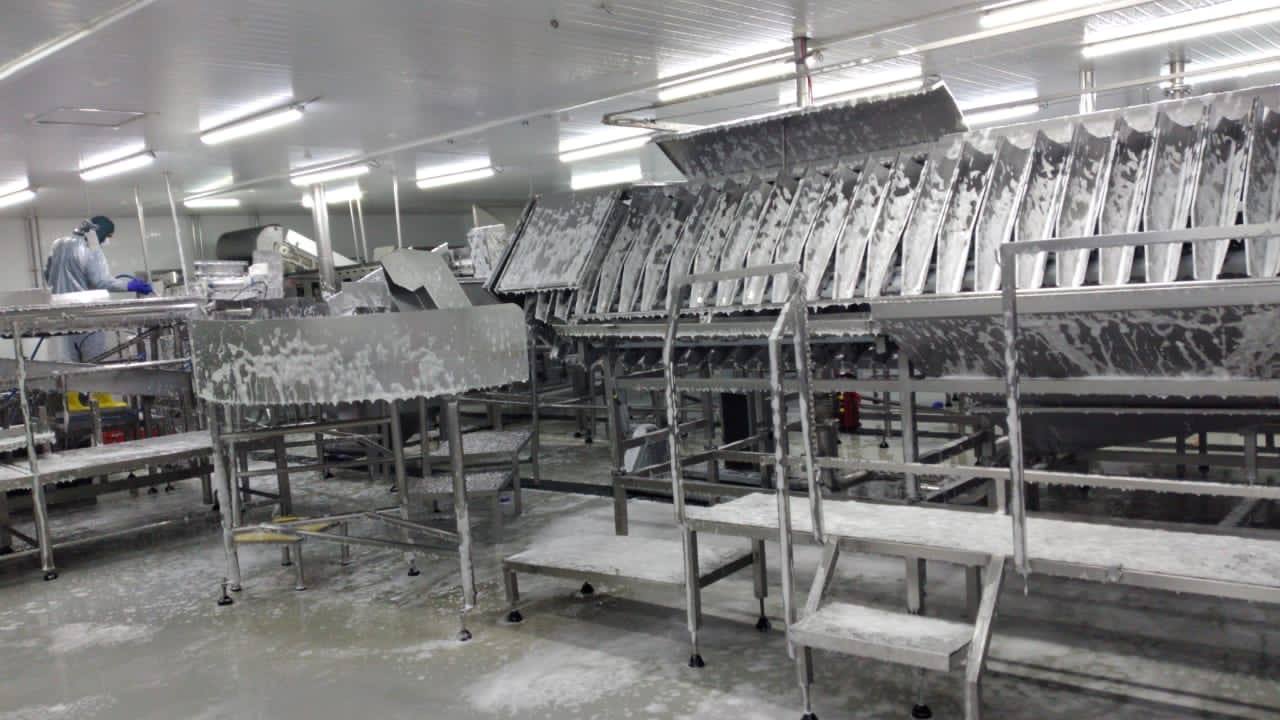 Línea de proceso industrial durante procedimiento de limpieza sanitaria con espuma.