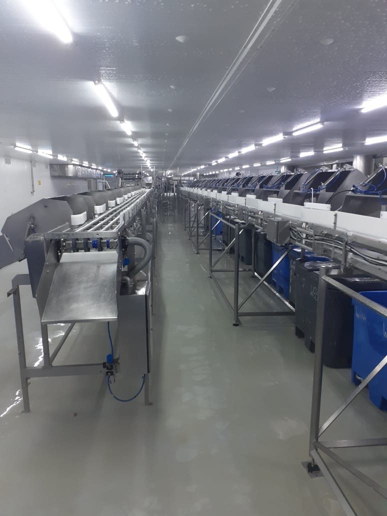 Vista de una línea de proceso industrial en operación dentro de planta.